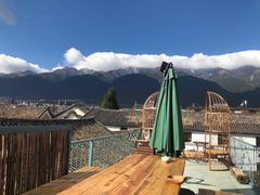 -喵屿·大理花园猫咖