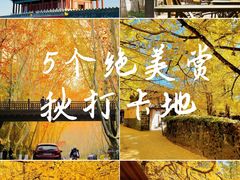 -塔川景区