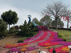 -东莞植物园
