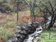 -玉渡山自然风景区