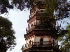 -顺峰山公园
