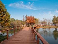 -贡湖湾湿地公园