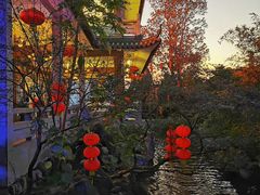 -东江渔村·古典园林·30年粤菜老字号(太和店)