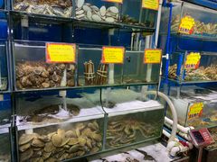水产区-蚝专家(北滘店)