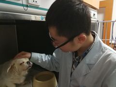-宠福鑫动物医院(城北分院)