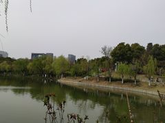 -天鹅湖体育公园