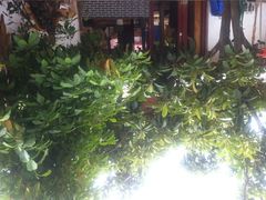 iphone_upload_pic-茶马古道·野生菌清汤黄牛肉(沙溪店)