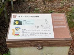 -南宁良凤江国家森林公园