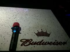 -百威KTV(恒福路店)