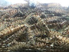 -合家小菜餐馆(新诚花苑店)