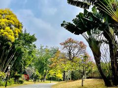 -深圳国际园林花卉博览园