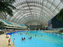 -麦当劳(新世纪环球中心店)