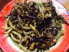 iphone_upload_pic-翕庐小苑