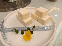 -聚福山莊·寻味顺德(北滘店)