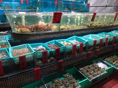 水产区-海大大蒸汽海鲜餐厅·粤菜·特色小炒(欢乐颂店)