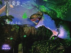 -广州长隆野生动物世界