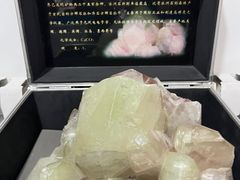-中国第四纪冰川遗迹陈列馆
