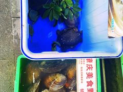 -东胜客河鲜店·西江河鲜·老字號渔家菜