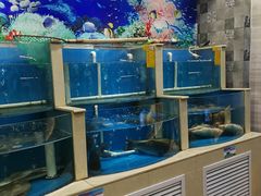 水产区-津悦·正阳春烤鸭(红旗南路店)