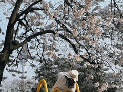 -红星桥(地铁站)