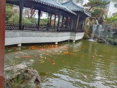 -苏苑饭店-中餐厅(长桥地区店)