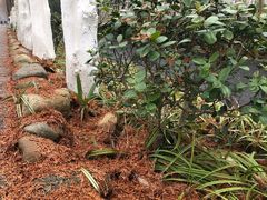 -合肥滨湖国家森林公园