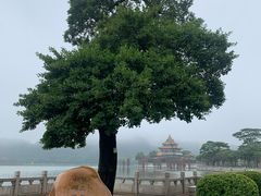 -顺峰山公园