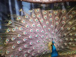 -酷嗒动物文化乐园(cutezoo西溪乐天城店)