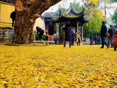 -无锡惠山寺
