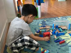 -金色雨林学习力培优(专注力提升)