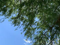 -永定河休闲森林公园