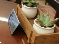 -成都凯宾斯基饭店