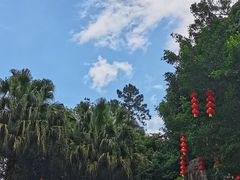 -广州市流溪河国家森林公园