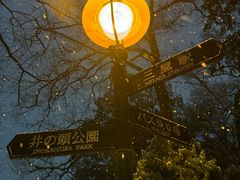 -三鹰之森吉卜力美术馆
