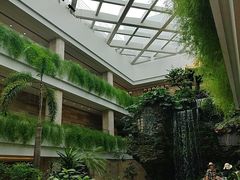-白天鹅宾馆-宏图府餐厅