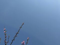 -贡湖湾湿地公园