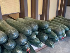 -翟辉冬瓜盅火锅(南村万博店)