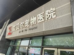 -艾贝尔宠物医院·24H转诊中心·肿瘤猫专科(江宁双龙店)
