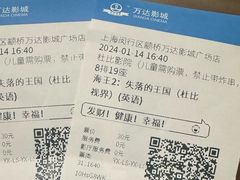 -万达影城(闵行颛桥万达广场杜比影院店)