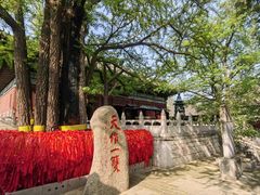 -红螺寺