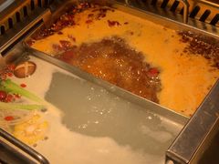 -蜀九鼎毛肚火锅(惠安店)