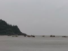 -渔寮风景区