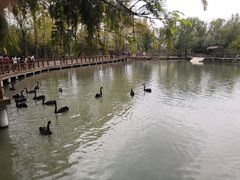 -溱湖国家湿地公园