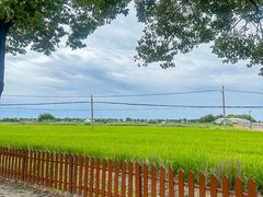 -小陆莲花蟹园农家乐(莲花岛店)