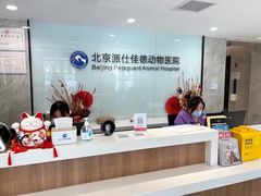 -北京派仕佳德动物医院·超导核磁·CT·神经科·骨科·内外科·急重症管理中心