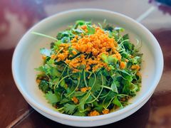 美极芹菜苗-渔公码头·九龙湾国际饭店