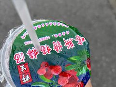 -喀斯特杨梅汤(荔波美食街店)