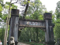 -鼎湖山风景区