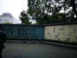 -上海交通大学医学院附属上海儿童医学中心(陆家嘴总院区)