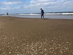 -闽江夜游台江旅游码头